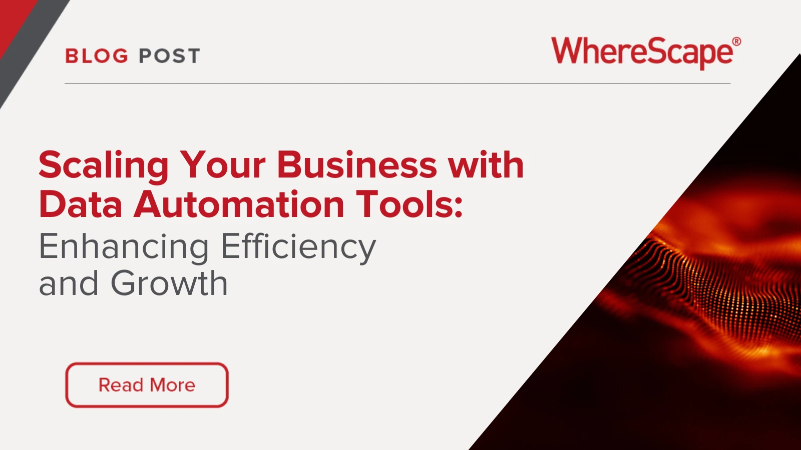 Blog title image for "Scaling you Business with Data Automation Tools"